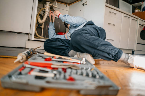 Best Plumbing Inspection Services  in Hays, MT
