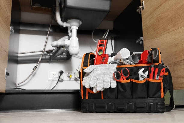 Best Plumbing Services Near Me  in Hays, MT